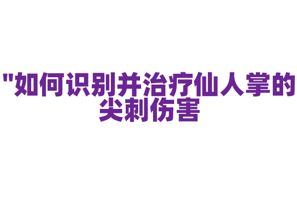 "如何识别并治疗仙人掌的尖刺伤害？"